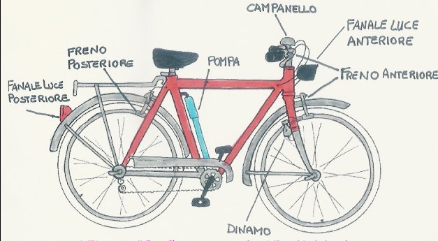 Il ciclista - Educazione Legalita